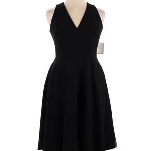 Dress the Population Black V-Neck Sleeveless Fit & Flare Dress